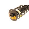 Strut Plus Assembly 2005-2006 Chevy Equinox - image 4