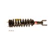 Strut Plus Assembly 2006-2008 Ram 1500 (4WD) - image 2