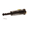 Strut Plus Assembly 2009-2010 Ford F-150 2WD - image 1