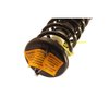 SR4174 Strut-Plus Strut and Coil Spring Assembly for 2008-2012 Honda Accord - image 3