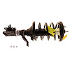 SR4182 Strut-Plus Strut and Coil Spring Assembly for 2005-2006 Honda CR-V - image 1