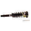 SR4190 Strut-Plus Strut and Coil Spring Assembly for 2008-2012 Honda Accord - image 1