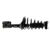 Strut Plus Assembly 2005-2009 Hyundai Tuscon - image 4