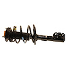 Strut Plus Assembly 2010-2011 Toyota Camry - image 1