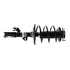 Strut Plus Assembly 2006-2012 Toyota Avalon