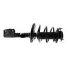 Strut Plus Assembly 2006-2010 Toyota Avalon - image 2