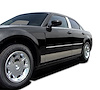 Rocker Panel Molding - image 1