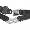 2-Point Push-Button Lap Belt w/Hardware
