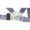 2-Point Push-Button Lap Belt - image 1