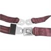 2-Point Push-Button Lap Belt - image 1