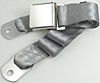 2 Point Lap Belt Color: Silver - image 1