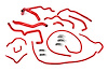 57-1512-RED Coolant Hose Kit, High-Temp 3-Ply Reinforced Silicone, Replace Rubber Radiator Heater Coolant Hoses - image 1