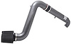 Dual Chamber Intake System Titanium Finish - image 1