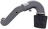 Dual Chamber Intake System Titanium Finish - image 1
