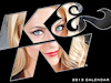 Calendr 2013 12Mnth 24x18 - image 1