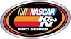 Decal Nascar Pro Series 5-11/16" x 3-1/4" - image 1