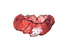 Round Straight Air Filter Wrap Wrap Type: Precharger - image 1