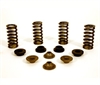 VALVE SPRING KIT - image 1