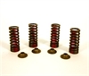 VALVE SPRING KIT - image 1