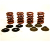 VALVE SPRING KIT - image 1