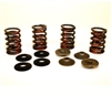 VALVE SPRING KIT - image 1