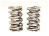 MAX-LIFE SPRING SET - image 1