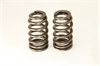 B-HIVE VALVE SPRING KIT - image 1