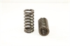 VALVE SPRING SET - image 1