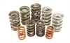Valve Spring Set 1967-1995 Big Block Chevy