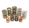 Endurance Plus Dual Valve Spring Set 1.560 in. OD - image 1