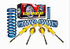 Sport Kit Integra 1994-2001, 1.8L - image 1