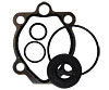 O-Ring & Seal Kit For Non-Shaft Drive Aluminum Pumps - image 1