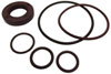 P/SERIES PUMP SEAL KIT - image 1