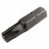 T40 Tamper Resistant Torx Bit