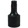 T47 Torx Drive Bit - image 1