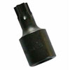 T60 Torx Drive Bit - image 1