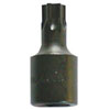 T30 Torx Drive Bit - image 1
