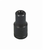 E16 TORX SOCKET - image 1