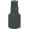 T70 Torx Drive Bit - image 1