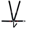 5-Point Camlock Racing Harness - 2 in. - image 1