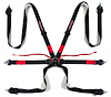 NG431 Racing Harness 6-Point with Integrated Camlock Adjuster  2 in. Webbing  [SFI 16.1]