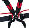 NG431 Racing Harness 6-Point with Integrated Camlock Adjuster  2 in. Webbing  [SFI 16.1] - image 2