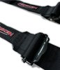 NG431 Racing Harness 6-Point with Integrated Camlock Adjuster  2 in. Webbing  [SFI 16.1] - image 4