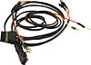Single Dirt Wiring Harness Universal Weather Packed Harness for Race Cars Utilizing a Single Box Ignition System - image 1