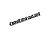 Cams CAMSHAFT 289/302 HYD - image 1