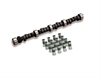 Cams CAM & LIFT SBC KIT - image 1