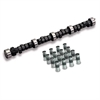 Cams H/E KIT-SB CHEVY 260/441 - image 1
