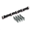 Cams HIGH EFFICIENCY CAM KIT - image 1