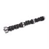 CAM CHEVY 173 V6 HE260H10 - image 1