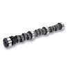 CAM CHEVY 262 V6 HE255H12 - image 1